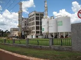 Sugar Exporters - Sugar Association | Sugar Exporters