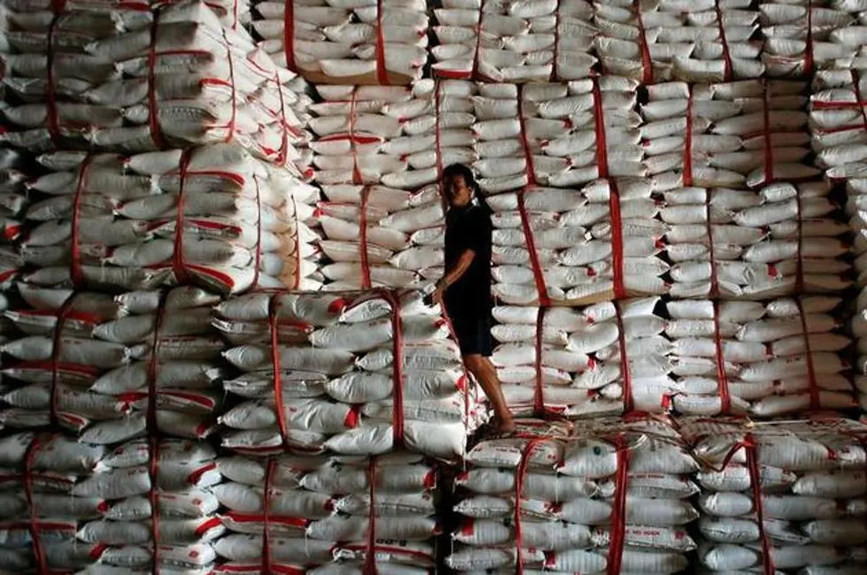 sugar suppliers4
